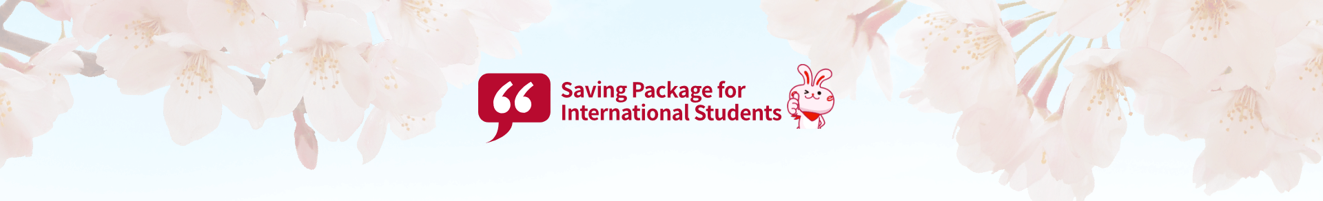 Saving Package for International Students