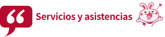 Servicios y asistencias