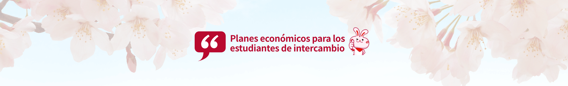 Planes económicos para los estudiantes de intercambio