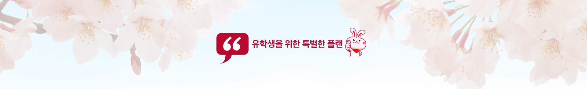 유학생을 위한 특별한 플랜