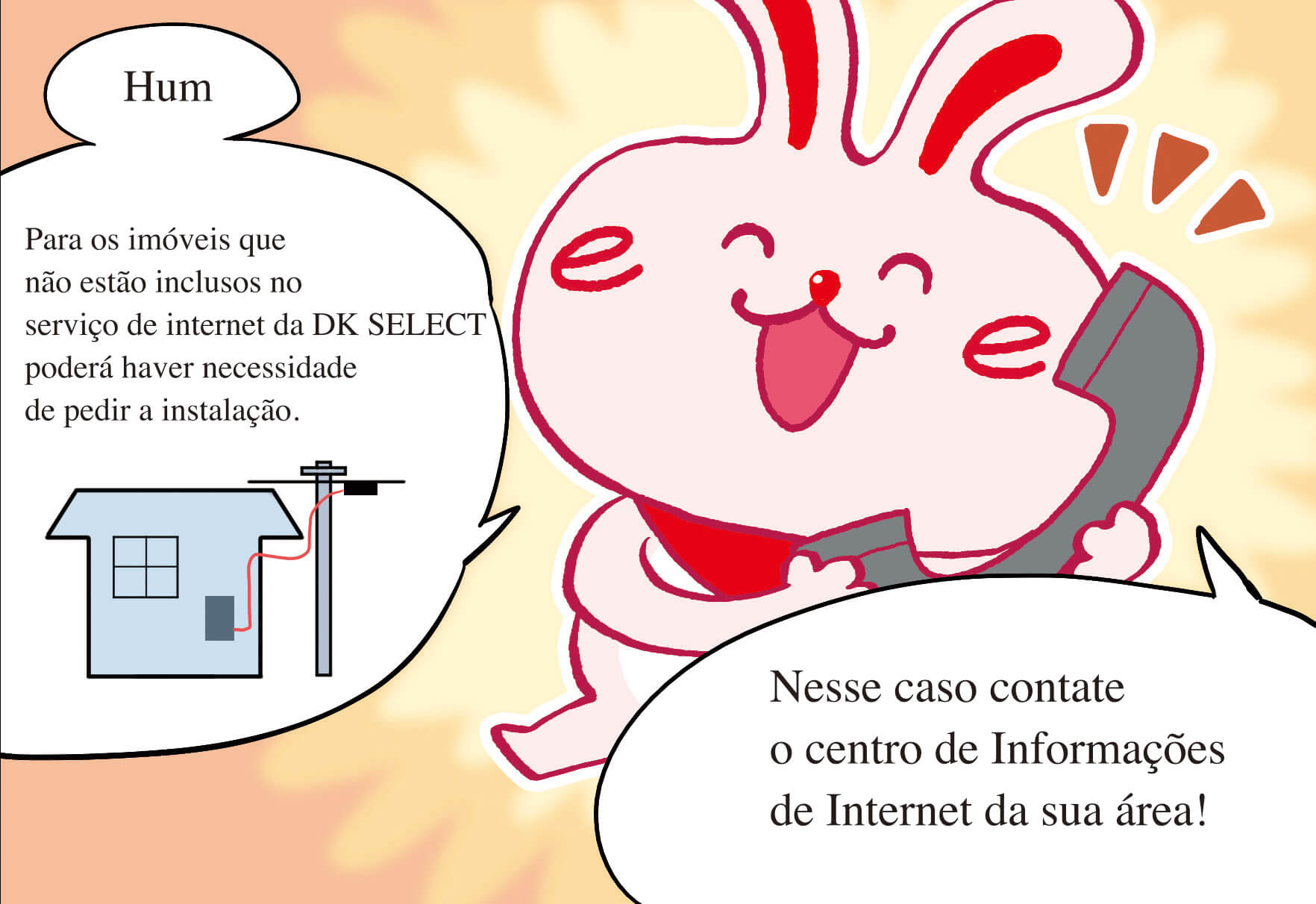 Como faço para conectar-me à Internet?