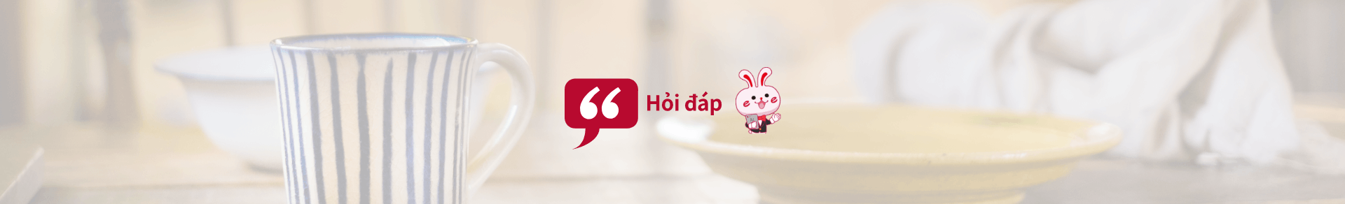 Hỏi đáp