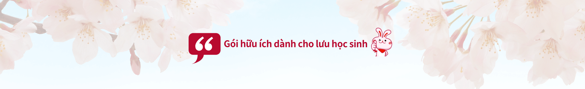 Gói đặc biệt dành cho lưu học sinh